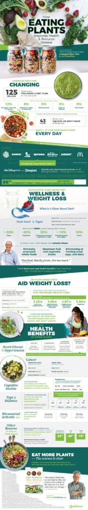 Infographic : Plant Based Diet